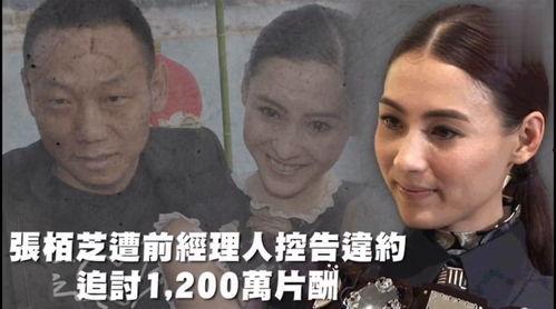 娱乐吃瓜吗,揭秘明星幕后故事